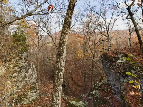 Nc1800, Jasper, AR 72641 photo 19