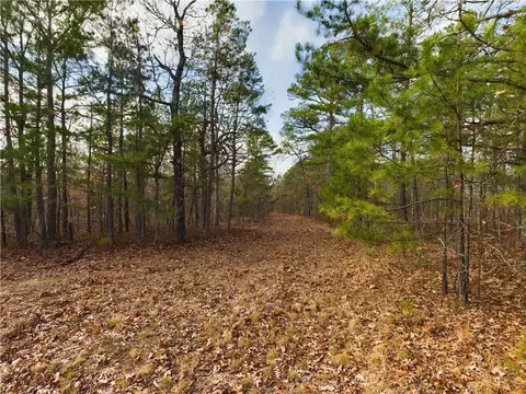 Nc1800, Jasper, AR 72641 photo 23