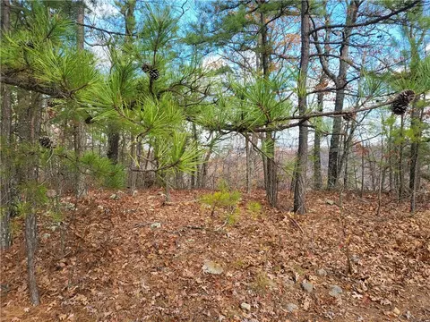 Nc1800, Jasper, AR 72641 photo 8