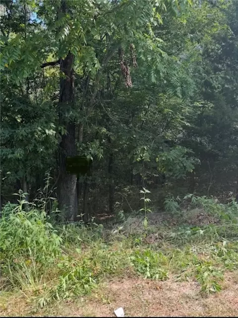 lot24 Block 3 Pennine Ln, Bella Vista, AR 72714