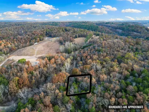 tbd Pine St, Noel, MO 64854 photo 9