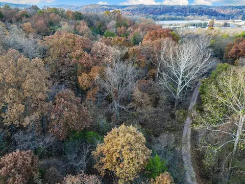 tbd Pine St, Noel, MO 64854 photo 14