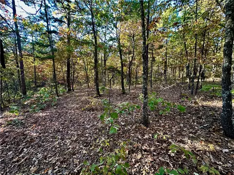 Other - 329 Bradley Ridge Rd, Marshall, AR 72650 photo 22 of 22