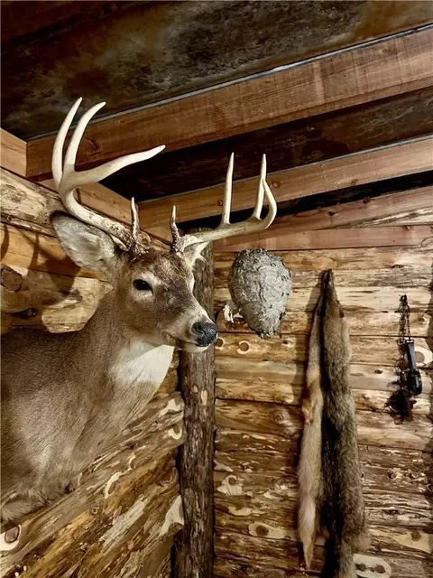 Other - 329 Bradley Ridge Rd, Marshall, AR 72650 photo 17 of 22