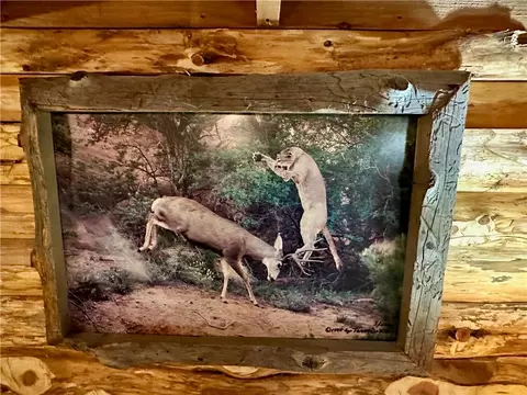 Other - 329 Bradley Ridge Rd, Marshall, AR 72650 photo 18 of 22
