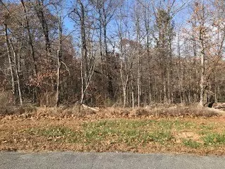 lot13 Block 1 Clyde Ln, Bella Vista, AR 72715