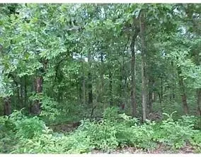 Mildenhall Drive, Bella Vista, AR 72714