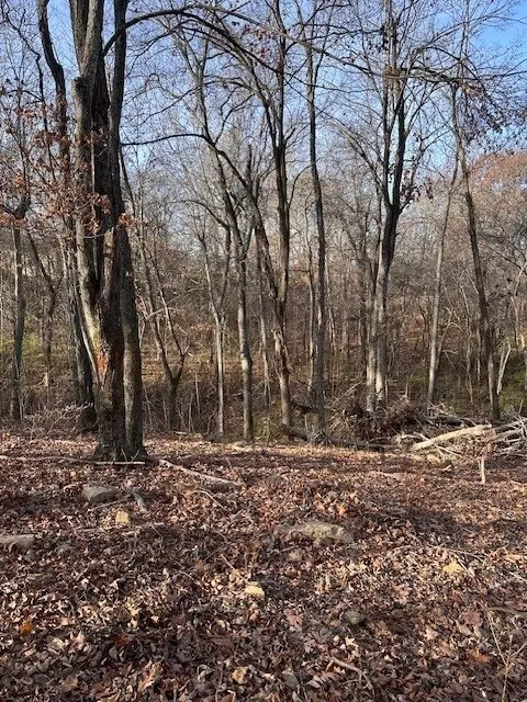 0 Mcgee St, West Fork, AR 72774 photo 14