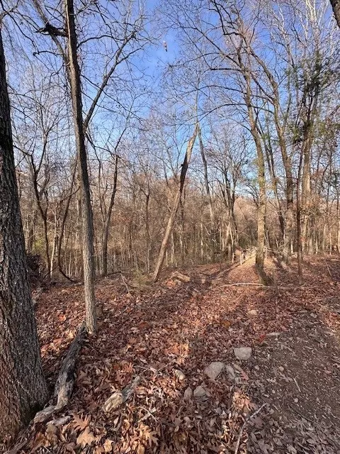 0 Mcgee St, West Fork, AR 72774 photo 12