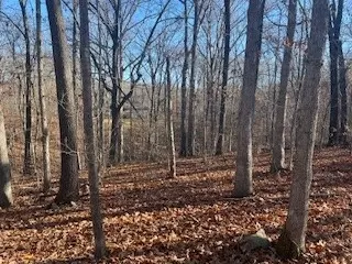 Bedlington Lane, Bella Vista, AR 72714