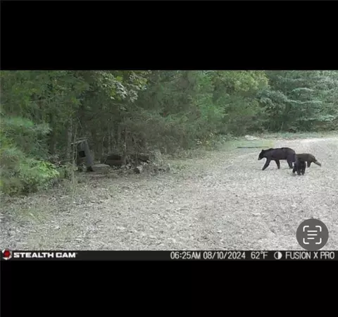 Other - 960 Wildemar Ln, Timbo, AR 72680 photo 3 of 26