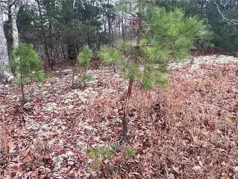 Other - 960 Wildemar Ln, Timbo, AR 72680 photo 14 of 26