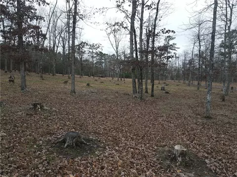 Exterior - 960 Wildemar Ln, Timbo, AR 72680 photo 6 of 17