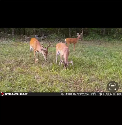 Other - 960 Wildemar Ln, Timbo, AR 72680 photo 9 of 26