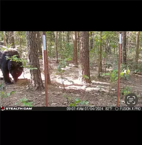 Other - 960 Wildemar Ln, Timbo, AR 72680 photo 4 of 26