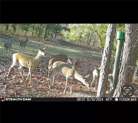 Other - 960 Wildemar Ln, Timbo, AR 72680 photo 5 of 26