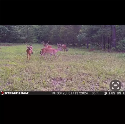 Other - 960 Wildemar Ln, Timbo, AR 72680 photo 1 of 26