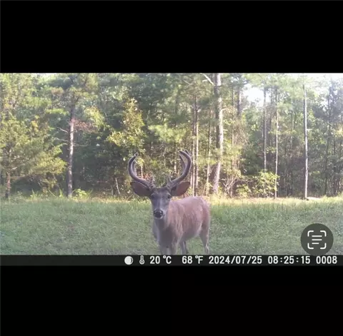Other - 960 Wildemar Ln, Timbo, AR 72680 photo 6 of 26