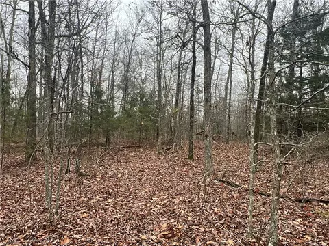 Other - 960 Wildemar Ln, Timbo, AR 72680 photo 13 of 26