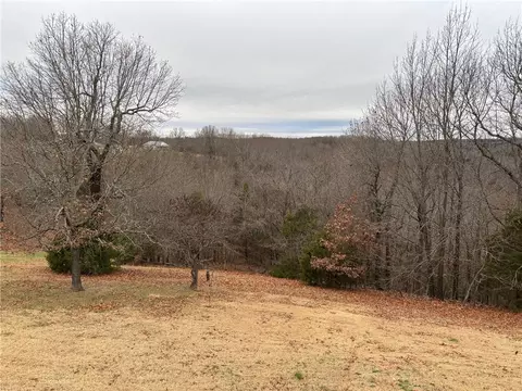 Exterior - 10377 Devore Dr, Harrison, AR 72601 photo 6 of 15