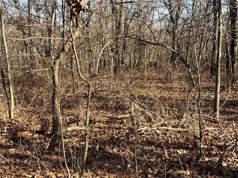 lot1 Block 8 Cargill Ln, Bella Vista, AR 72715