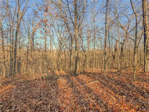 lot13 Block 2 Stilton Ln, Bella Vista, AR 72714
