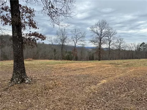 459 Nc 3057, Marble Falls, AR 72648 photo 48