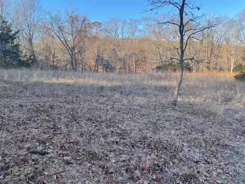 33 48 Ac Markey Ln, Garfield, AR 72732 photo 21