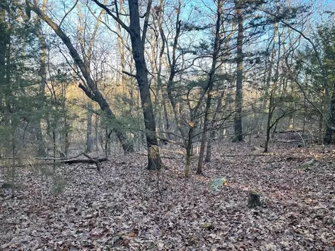 33 48 Ac Markey Ln, Garfield, AR 72732 photo 16