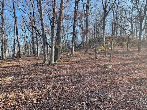 33 48 Ac Markey Ln, Garfield, AR 72732 photo 10