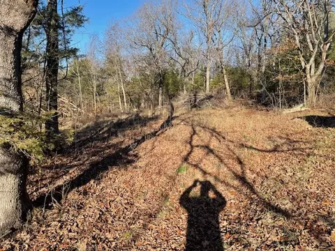 33 48 Ac Markey Ln, Garfield, AR 72732 photo 3