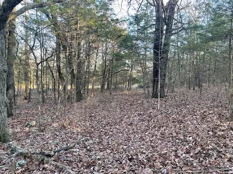 33 48 Ac Markey Ln, Garfield, AR 72732 photo 25