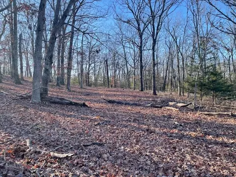 33 48 Ac Markey Ln, Garfield, AR 72732 photo 14