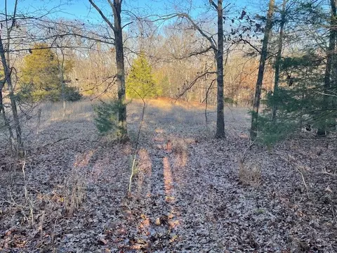 33 48 Ac Markey Ln, Garfield, AR 72732 photo 19