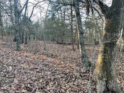 33 48 Ac Markey Ln, Garfield, AR 72732 photo 18