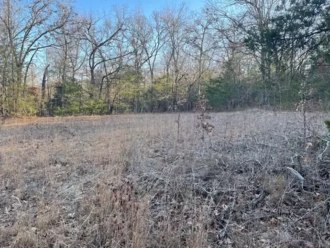 33 48 Ac Markey Ln, Garfield, AR 72732 photo 26