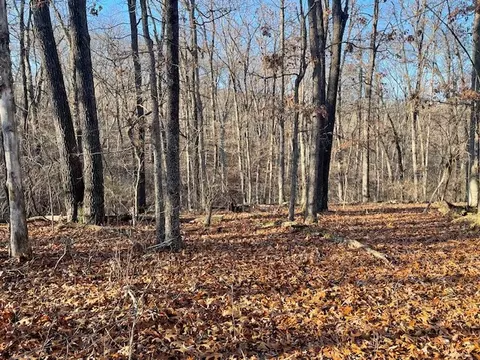 33 48 Ac Markey Ln, Garfield, AR 72732 photo 28