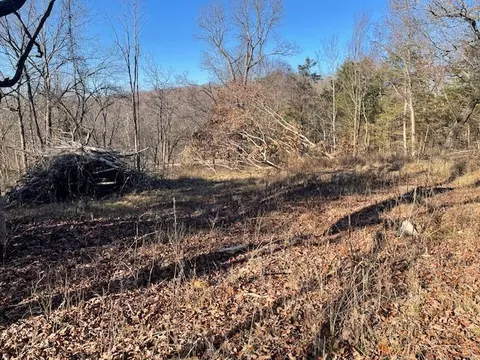 33 48 Ac Markey Ln, Garfield, AR 72732 photo 4