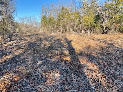 33 48 Ac Markey Ln, Garfield, AR 72732 photo 6