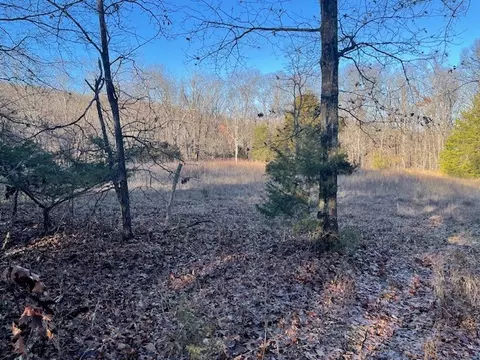 33 48 Ac Markey Ln, Garfield, AR 72732 photo 20