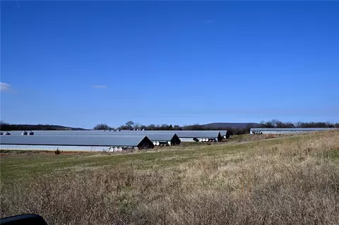 17790 Hale Mountain Rd, Canehill, AR 72717