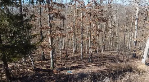 5 Bushy Ln, Bella Vista, AR 72714