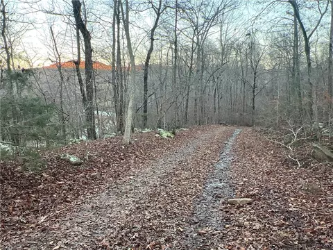 697 Upper Bear Creek Rd, Marshall, AR 72650 photo 15