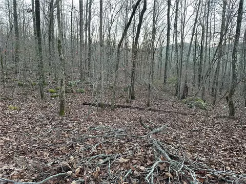 697 Upper Bear Creek Rd, Marshall, AR 72650 photo 28
