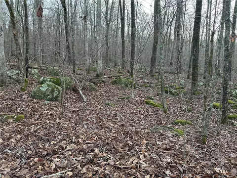 697 Upper Bear Creek Rd, Marshall, AR 72650 photo 27