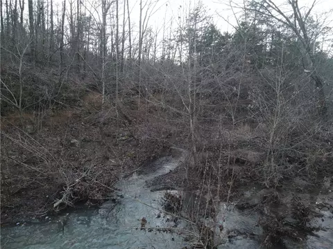 697 Upper Bear Creek Rd, Marshall, AR 72650 photo 16