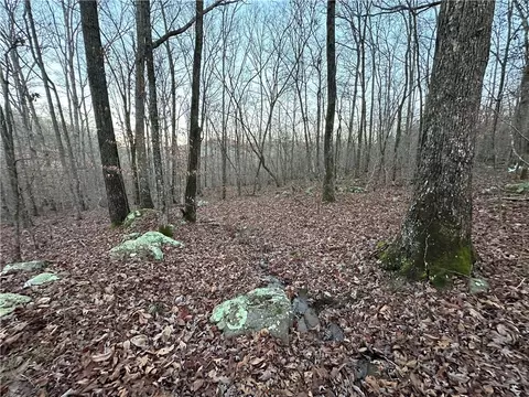 697 Upper Bear Creek Rd, Marshall, AR 72650 photo 25