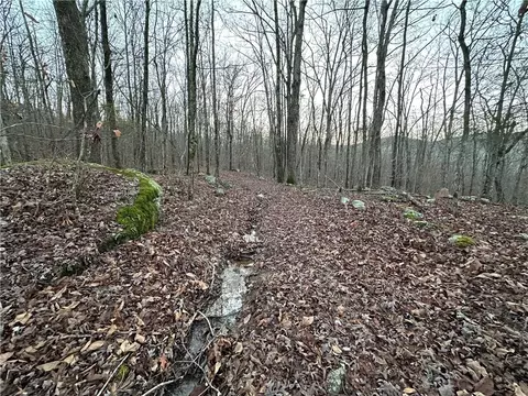 697 Upper Bear Creek Rd, Marshall, AR 72650 photo 32