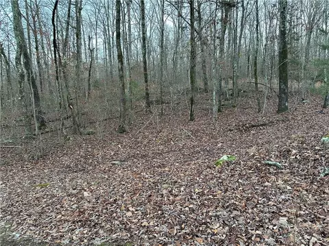 697 Upper Bear Creek Rd, Marshall, AR 72650 photo 24