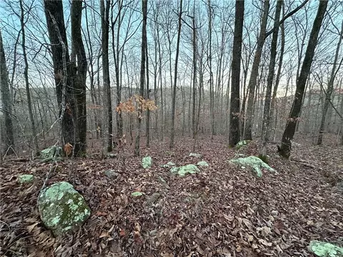 697 Upper Bear Creek Rd, Marshall, AR 72650 photo 26